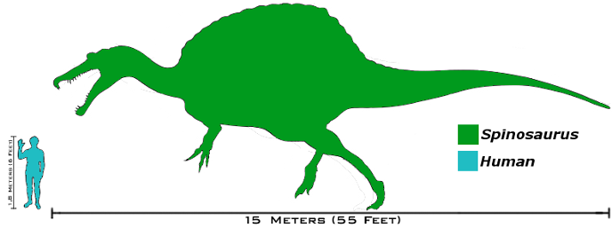 Размеры спинозавра