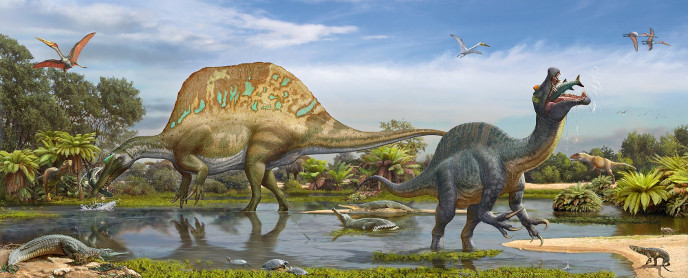 Спинозавр и сиджильмасазавр