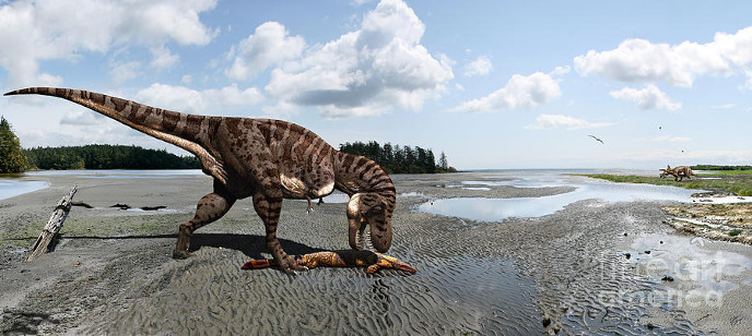 Тираннозавр ест мозазавра