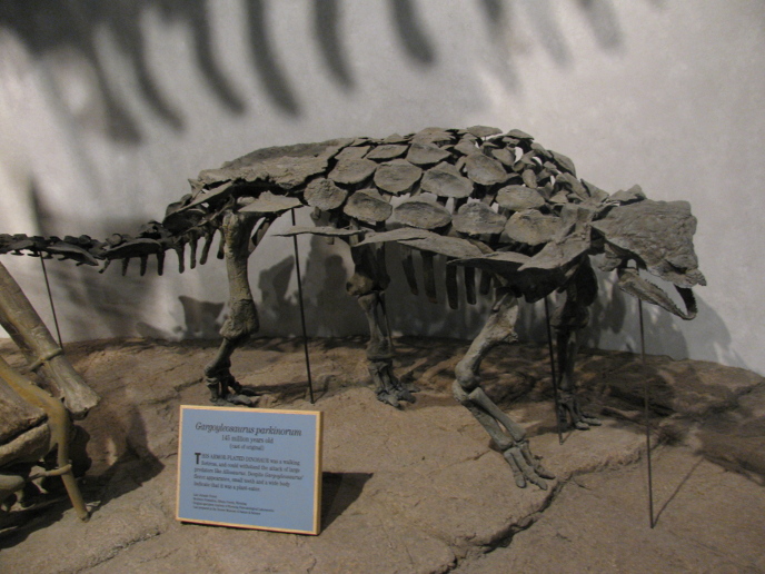 Гаргойлеозавр