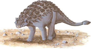 Shamosaurus