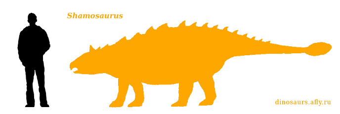 Shamosaurus