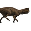 Пситтакозавр сибирский