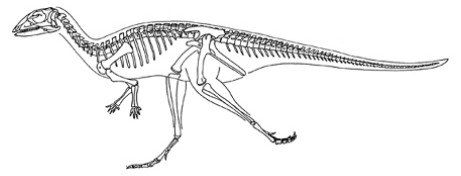 Лесотозавр