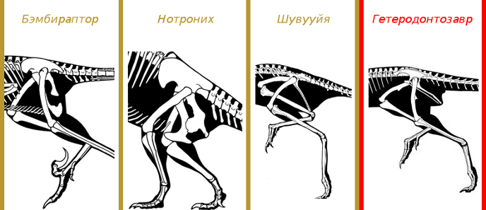 Ящеротазовые и птицетазовые динозавры