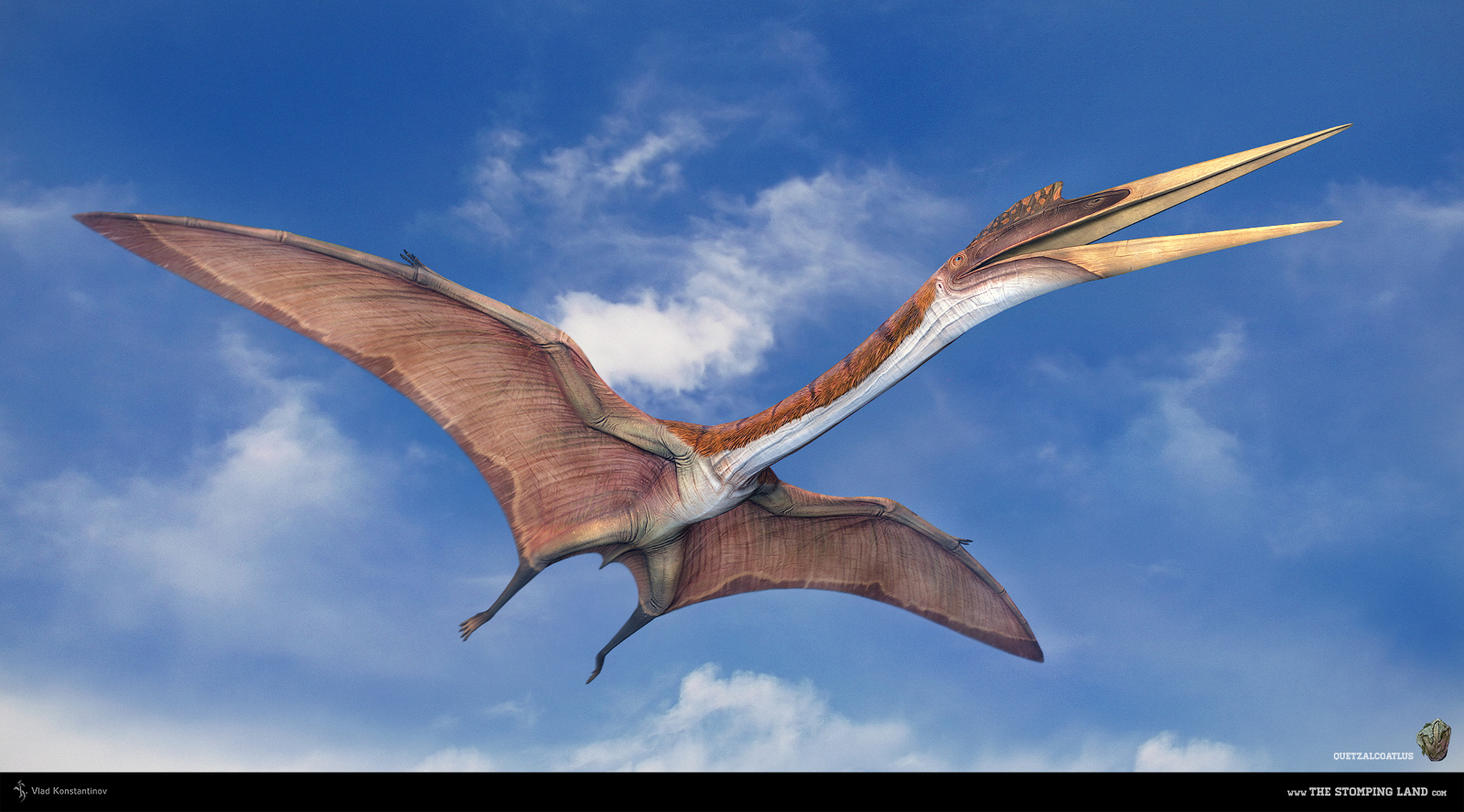 Кетцалькоатль или Кецалькоатль Quetzalcoatlus Птерозавры Динозавры