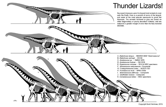Самый высокий динозавр
