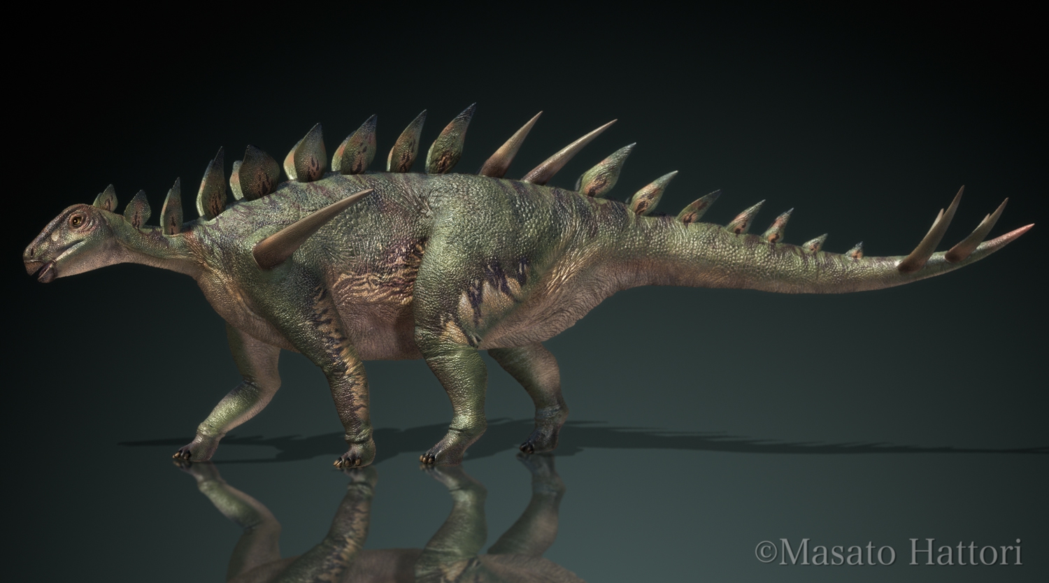 huayangosaurus-2.jpg