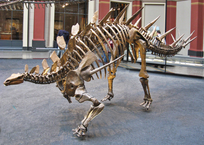 Кентрозавр