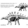 Скелет тоцзянозавра