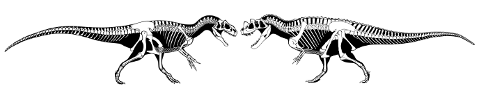 Цератозавр и аллозавр при равных размерах