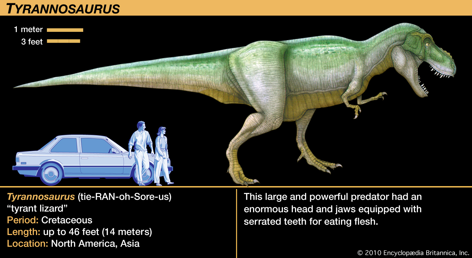 Тираннозавр 