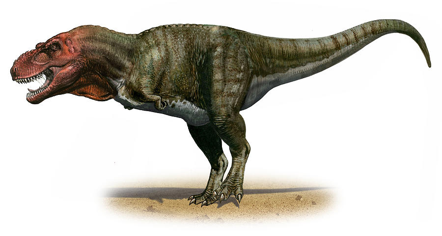 Динозавр: изображения без лицензионных платежей