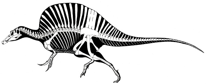 Спинозавр с гребнем модели уранозавра