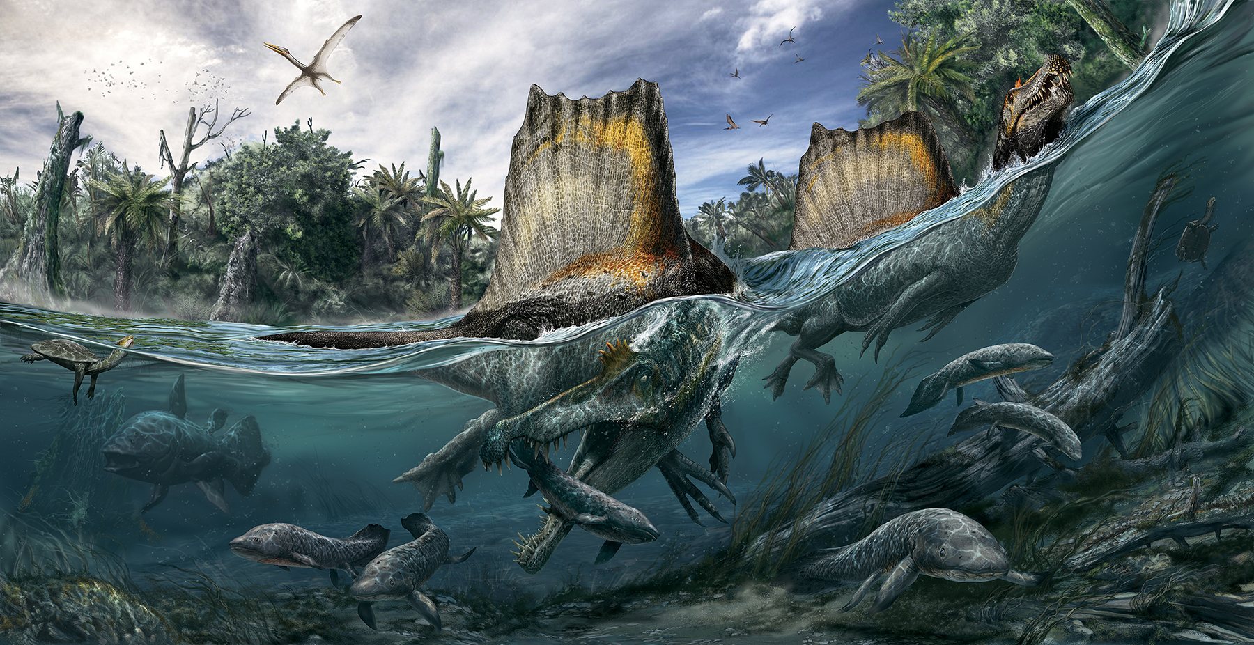 Спинозавр – Spinosaurus, картинки спинозавр фото, ящеры древние  пресмыкающиеся ископаемые рептилии, dinozavri, динозавры онлайн dinosaurs,  бесплатно динозавры хищные, фото динозавры юрского периода, доисторические  динозавры в картинках, самый большой ...