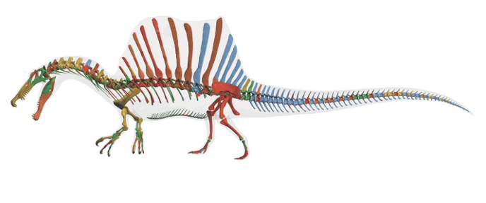 Спинозавр на четырёх ногах
