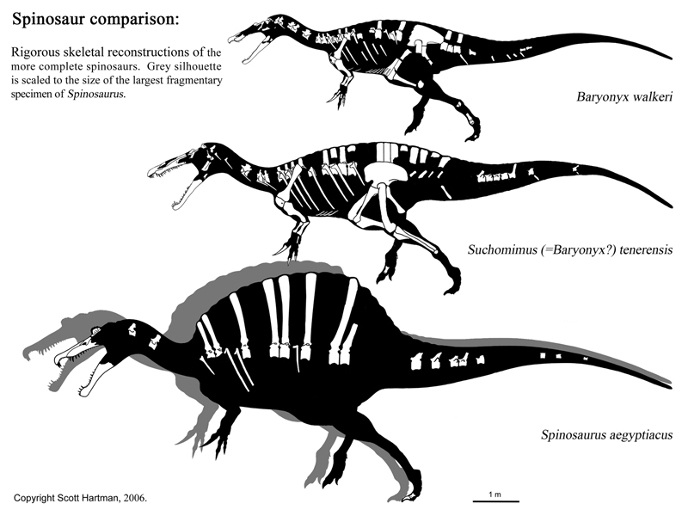 Барионикс, зухомим и спинозавр