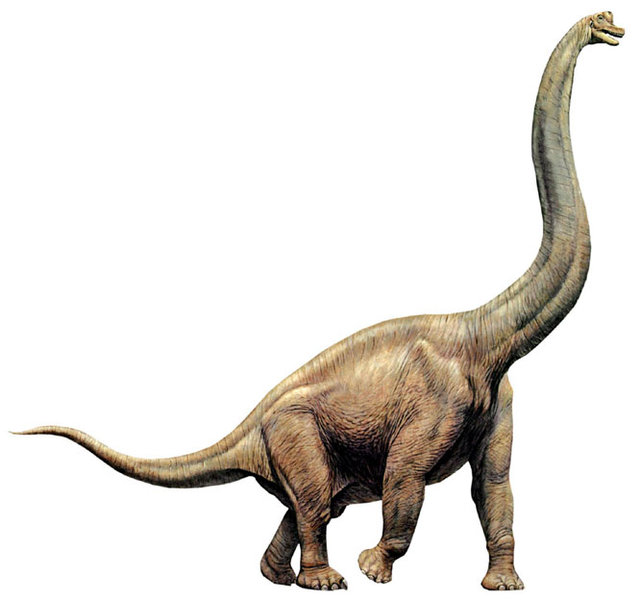 http://dinosaurs.afly.ru/ii/z/brachiosaurus-1.jpg