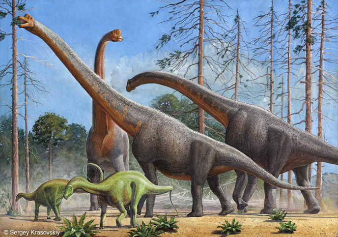 Жираффатитан и дикреозавр