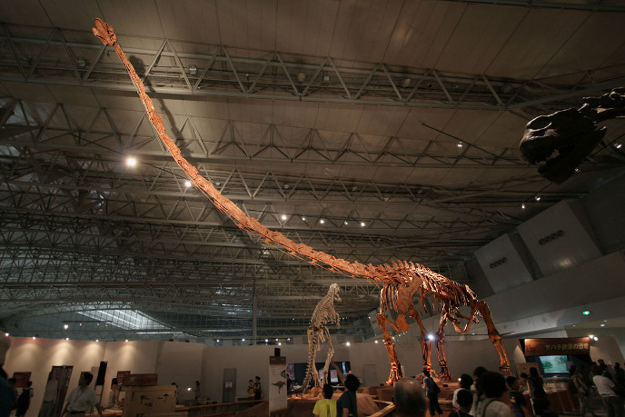 Mamenchisaurus sinocanadorum