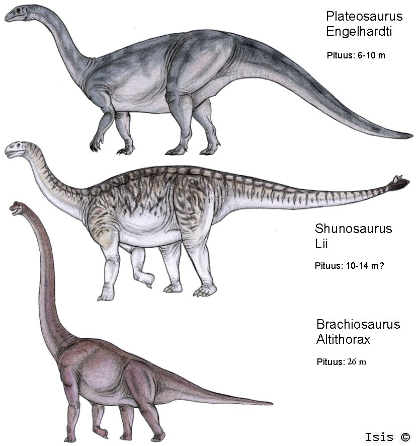 Описание зауроподов – Динозавры